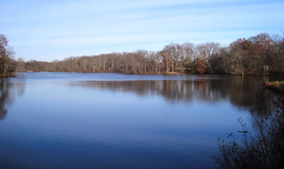 Mercer County