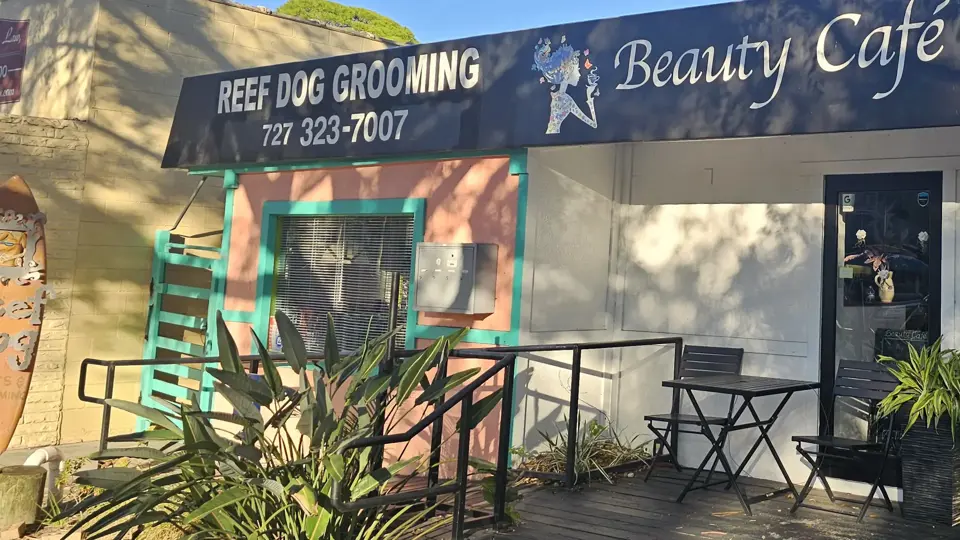 Reef Dog Gifts & Grooming