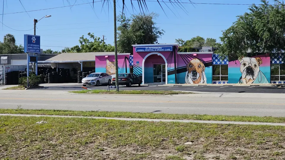 St. Petersburg Animal Hospital and Urgent Care