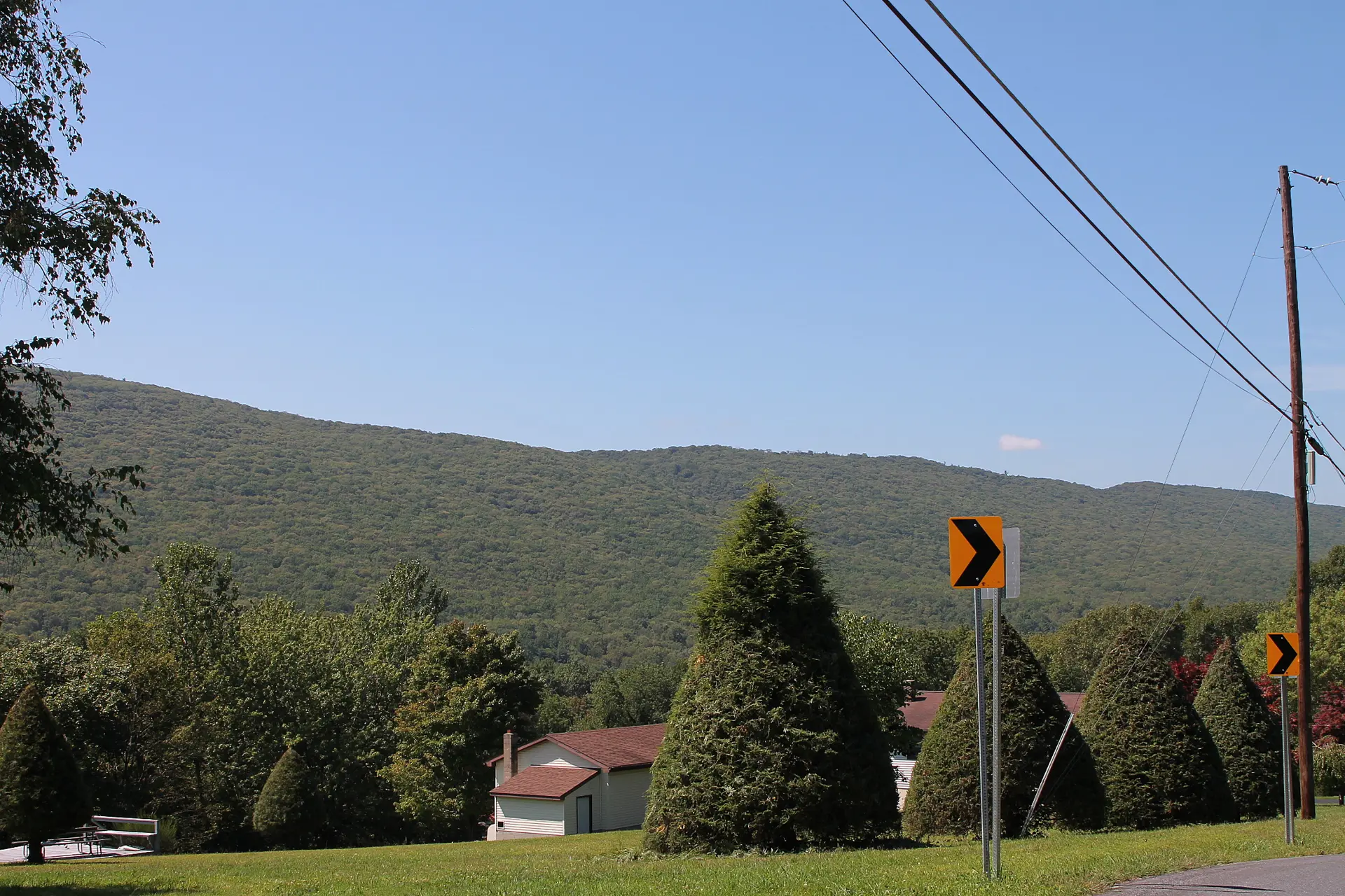East Cameron