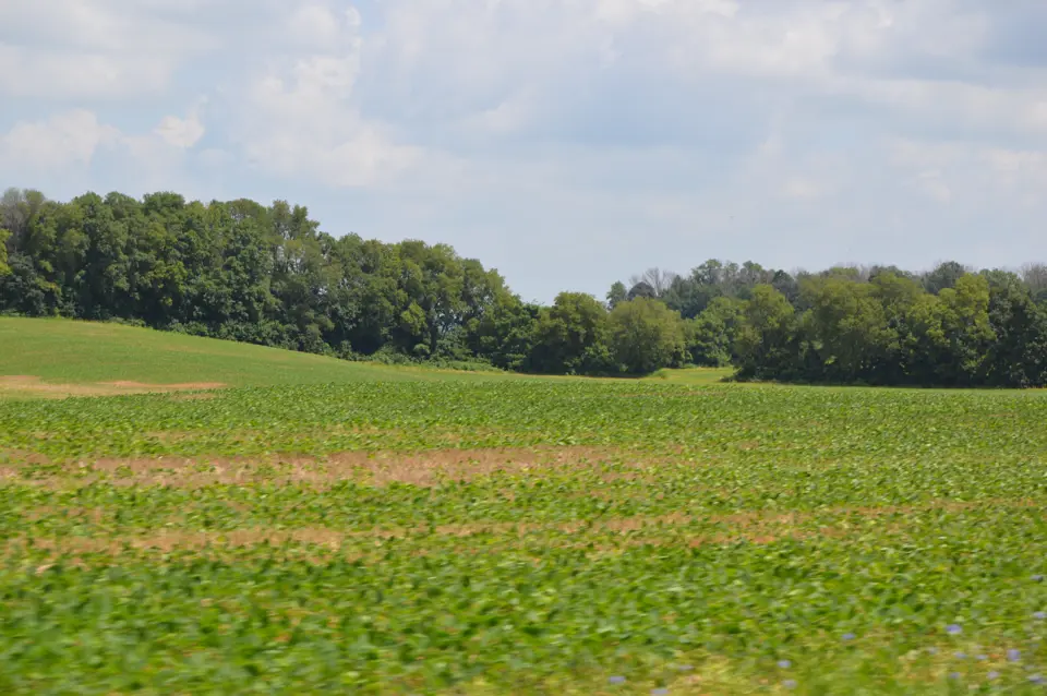 Fairfield County