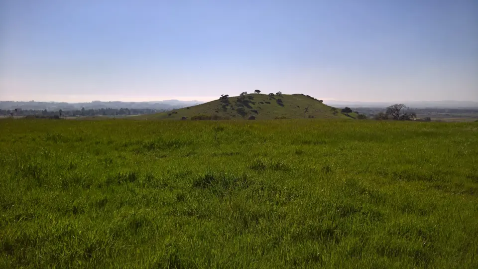 Sonoma County