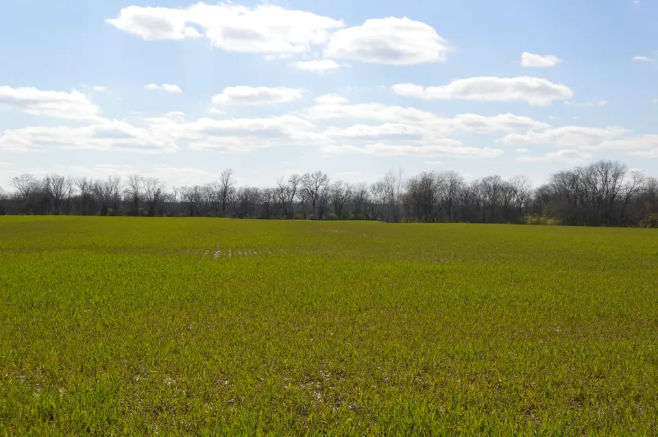 Madison County