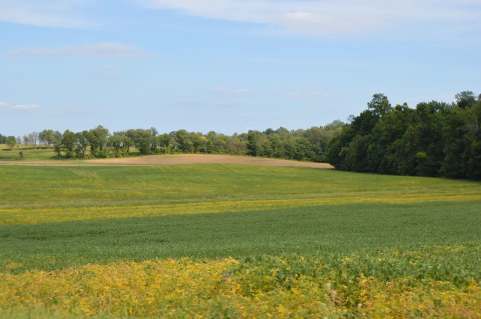 Richland County
