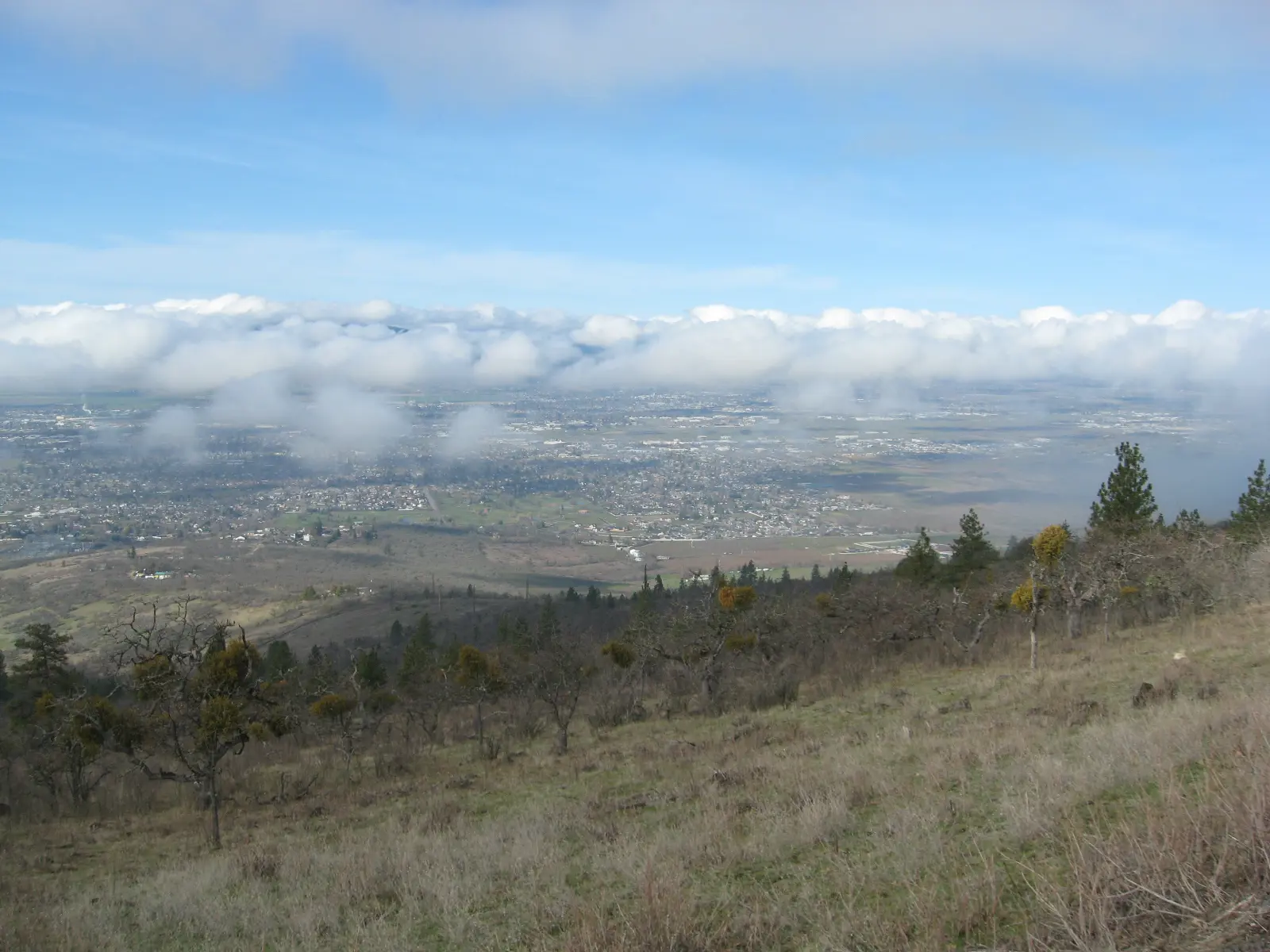 Medford
