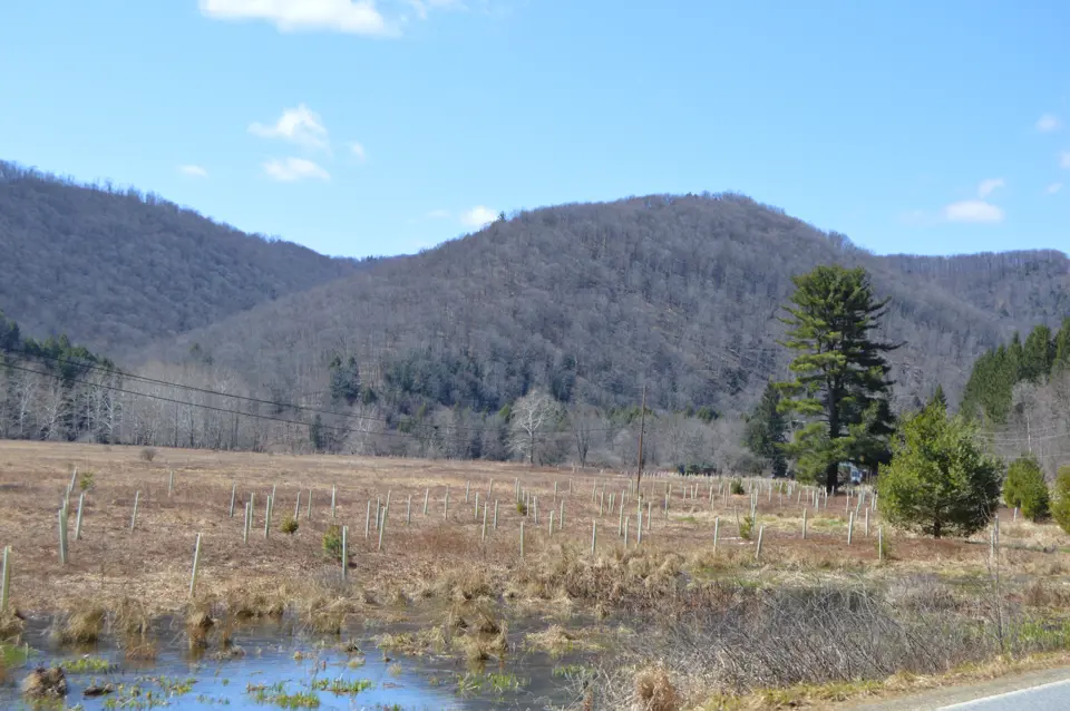 Potter County