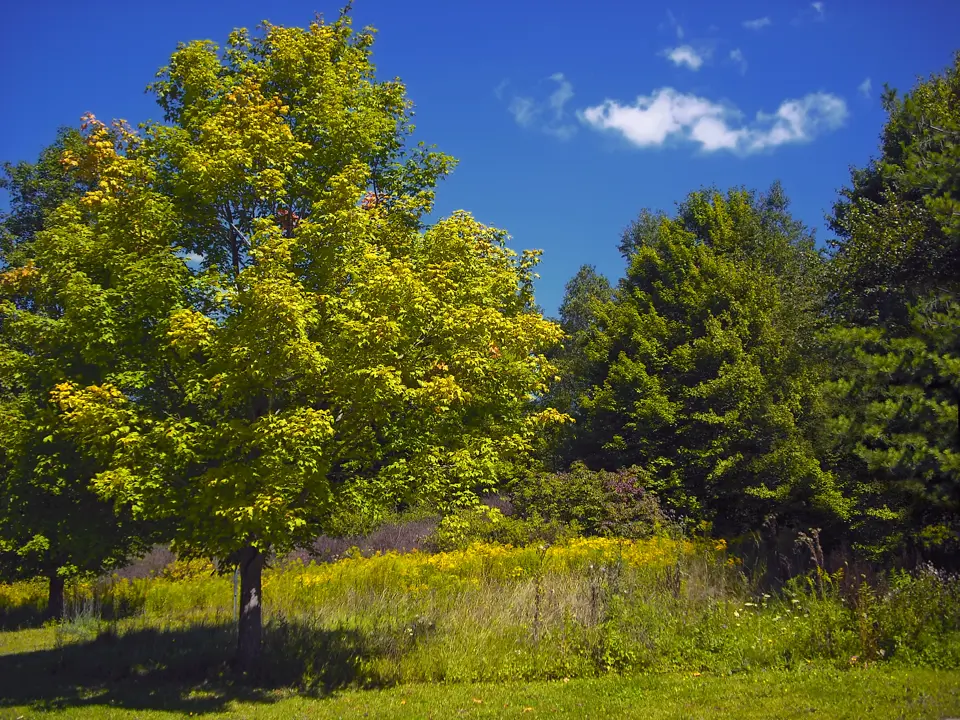 Crawford County