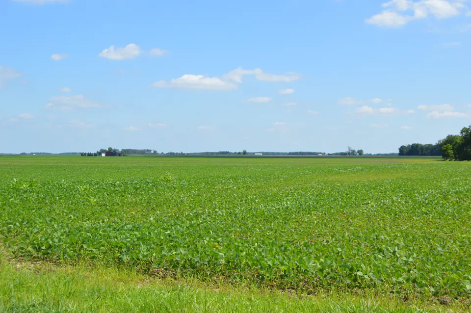 Van Wert County