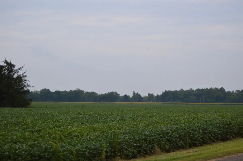 Lucas County