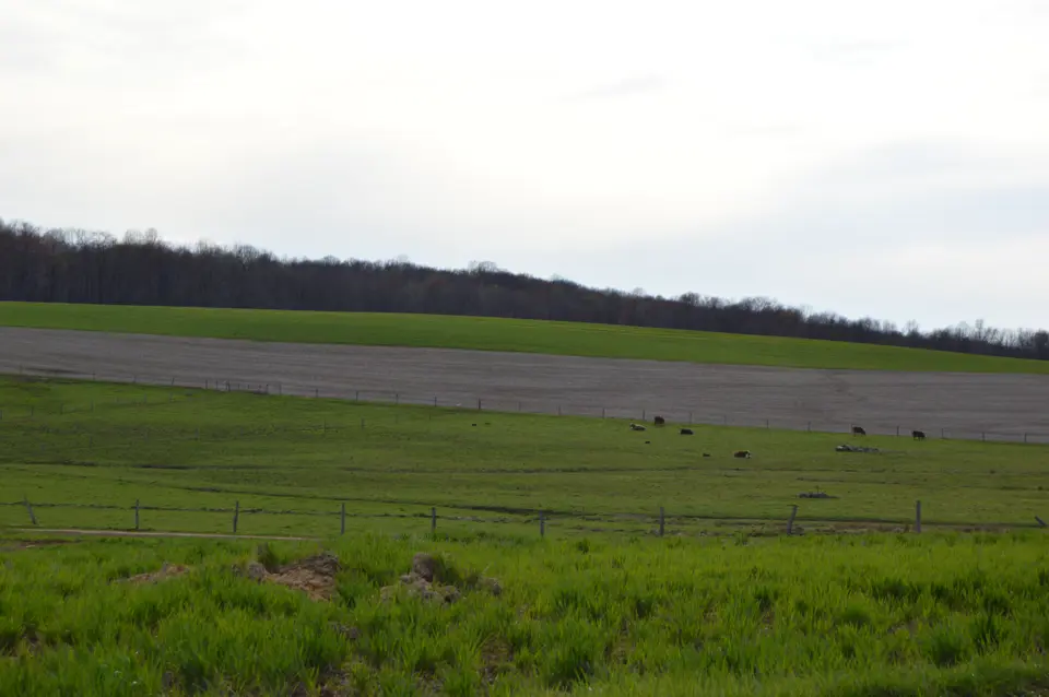 Butler County