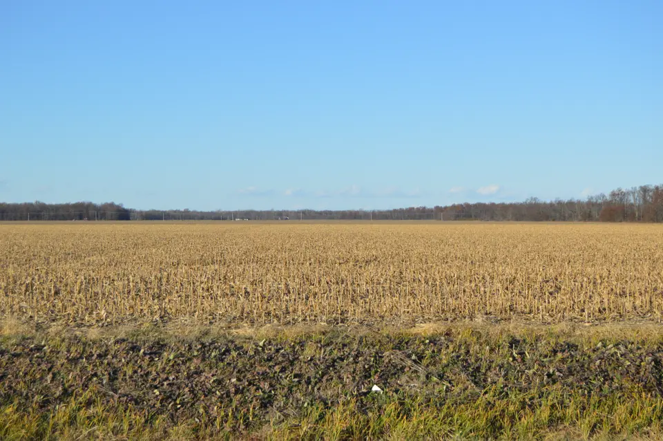 Paulding County