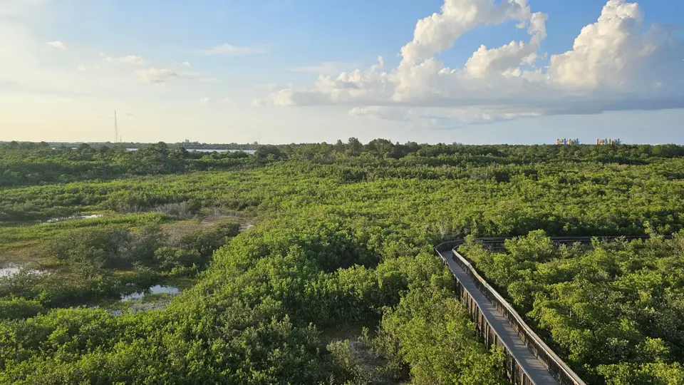 Weedon Island Preserve
