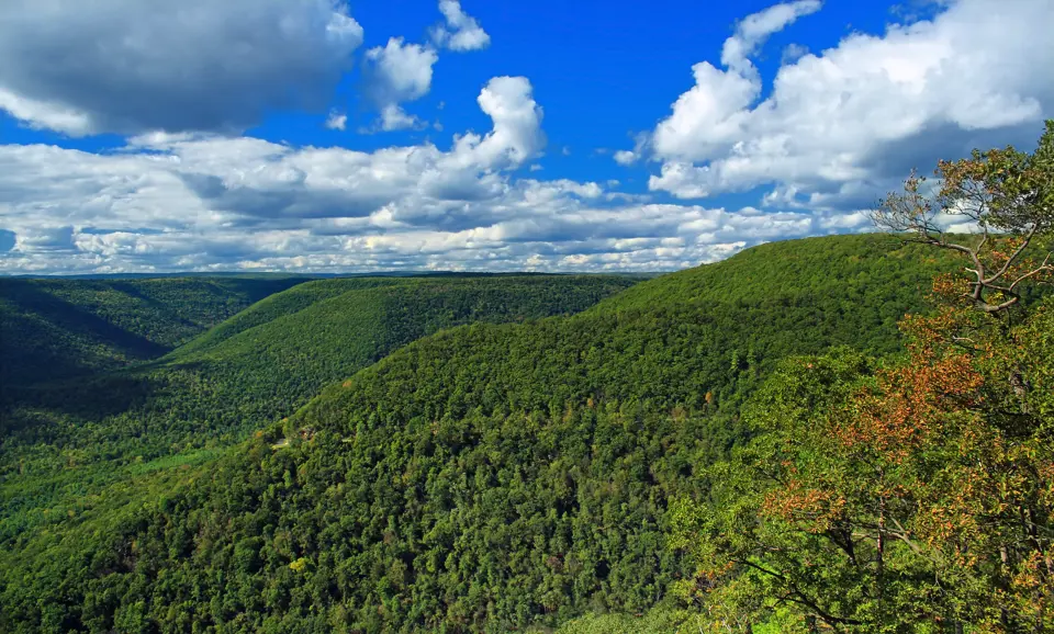 Clinton County