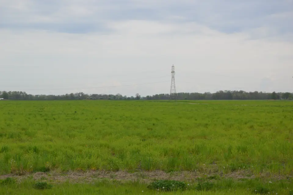 Ottawa County