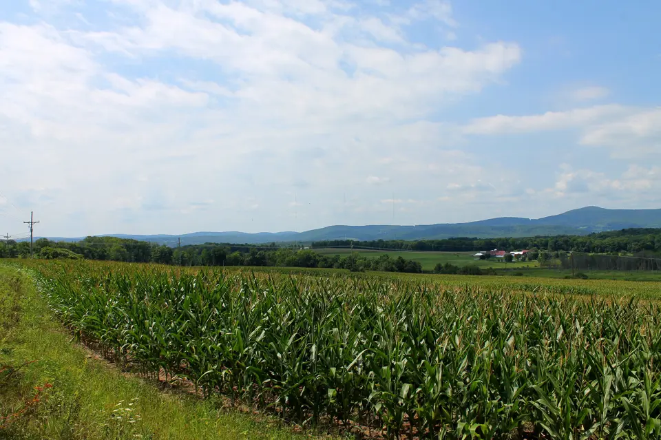 Wyoming County