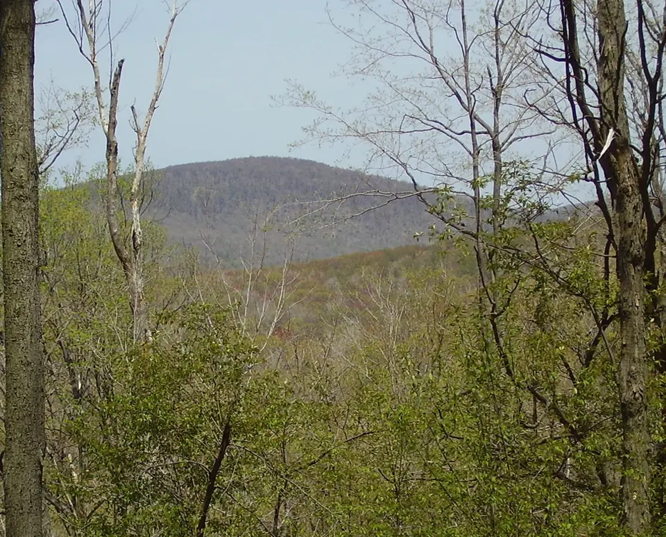 Blair County