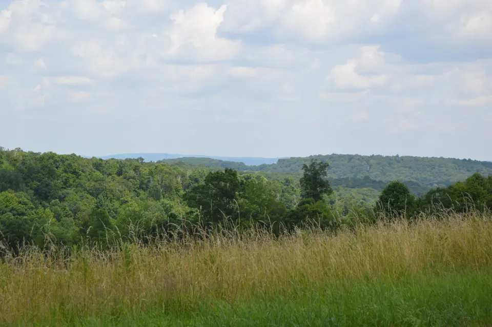 Cambria County