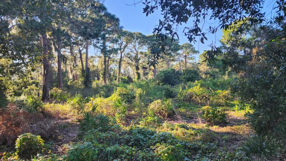 Boyd Hill Nature Preserve