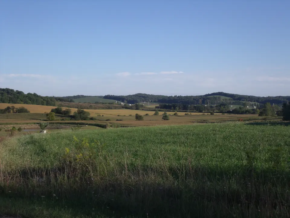 Licking County