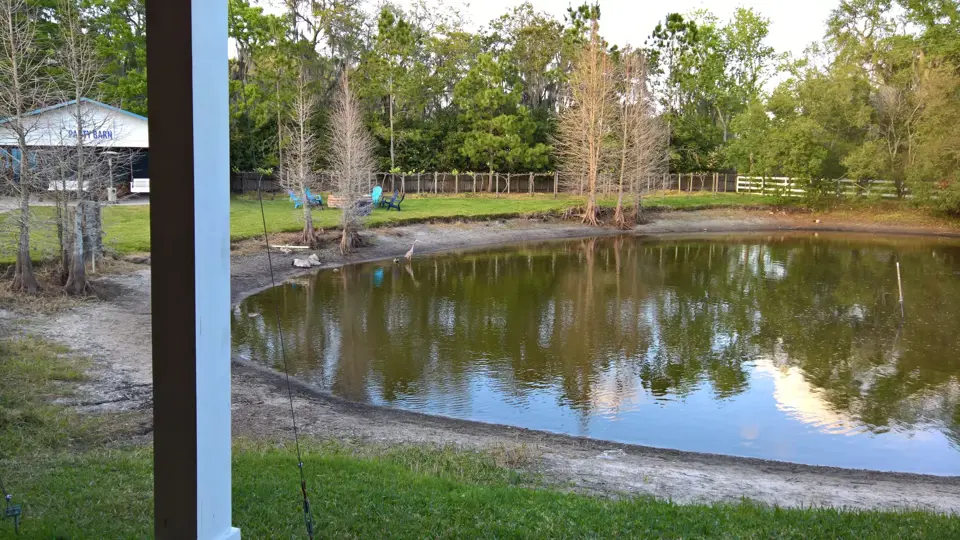 Hillsborough County