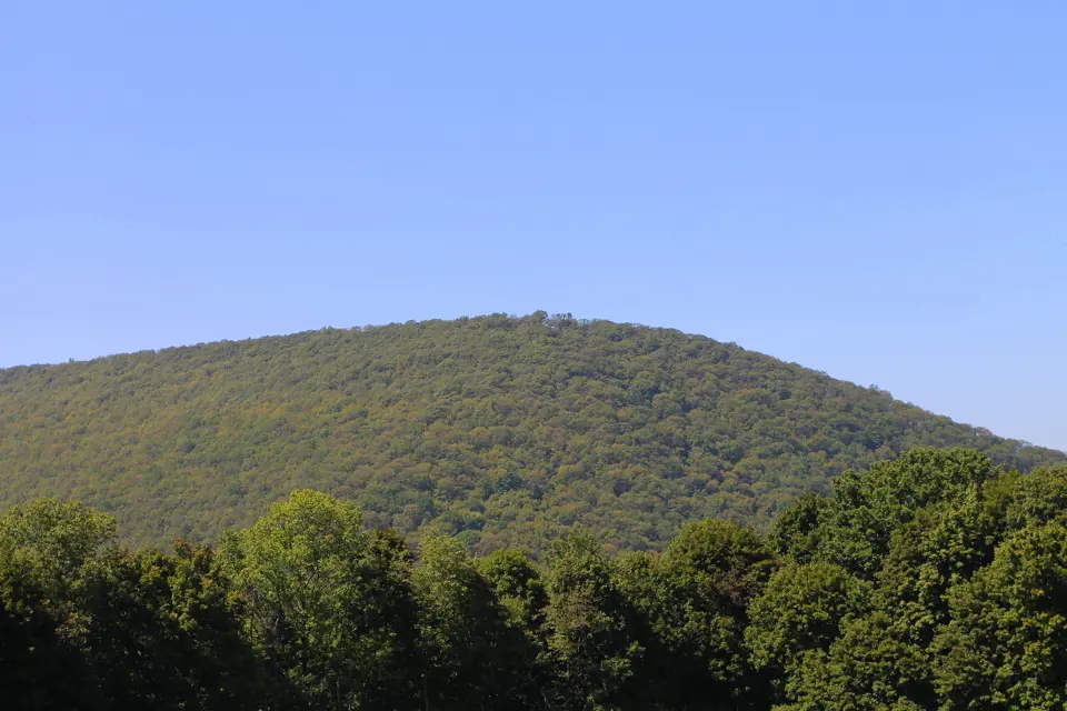 Northumberland County