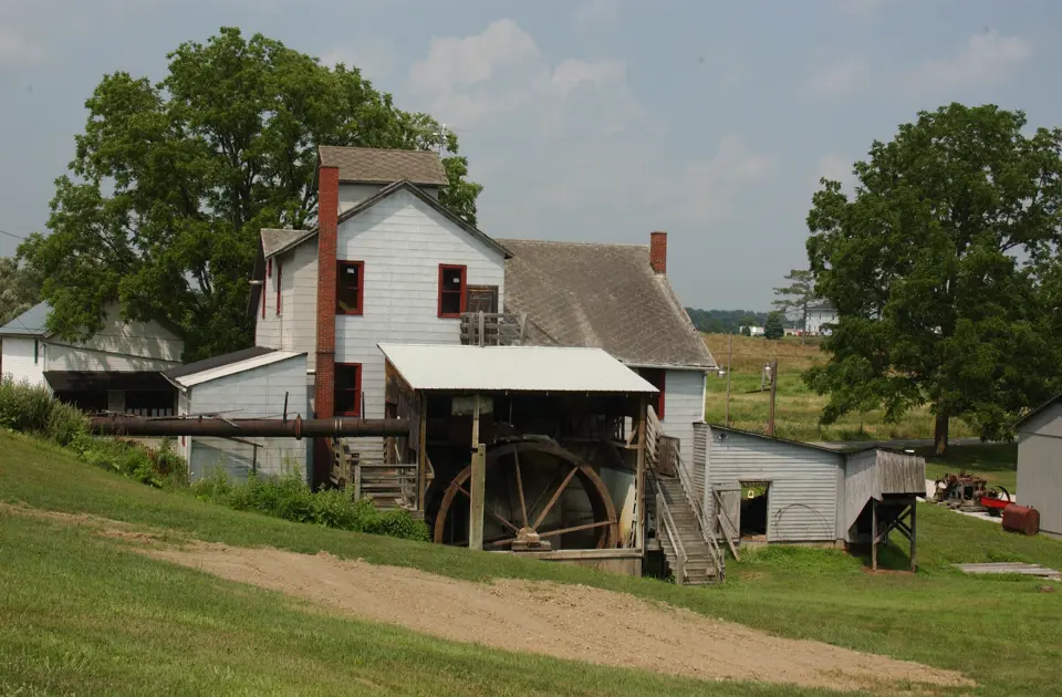 Wayne County