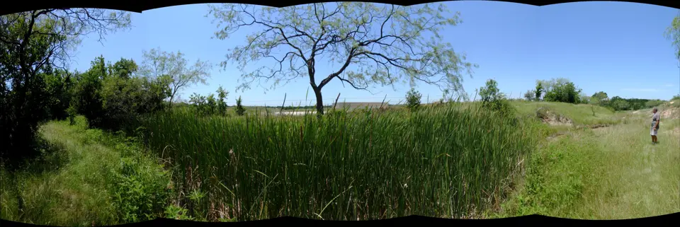 Tarrant County
