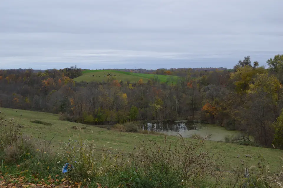 Belmont County