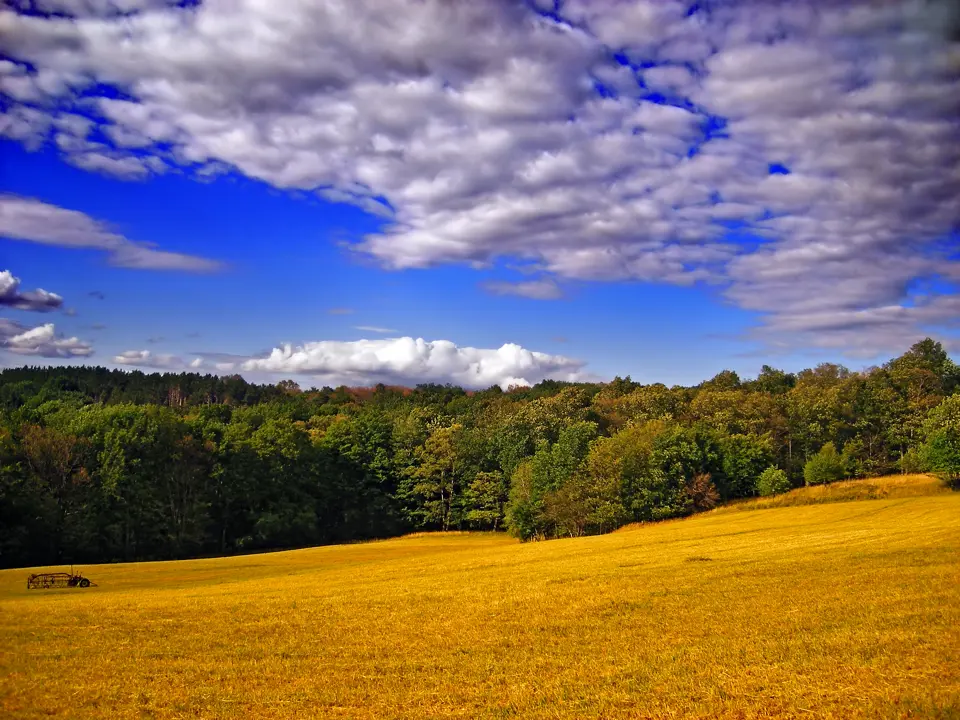 Monroe County
