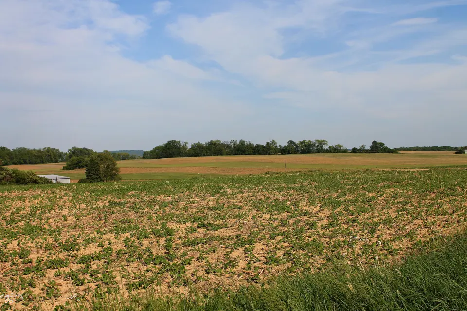 Montour County