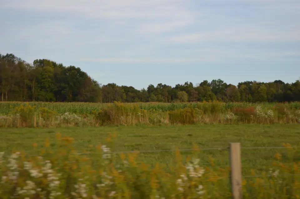 Mercer County