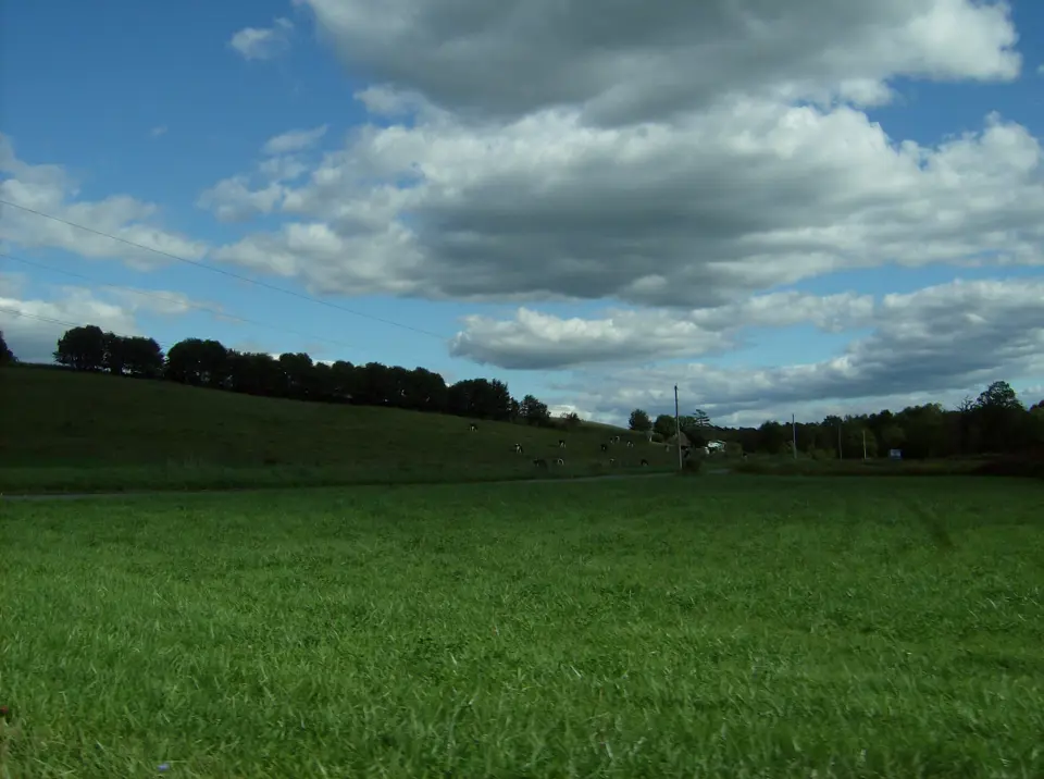 Carroll County