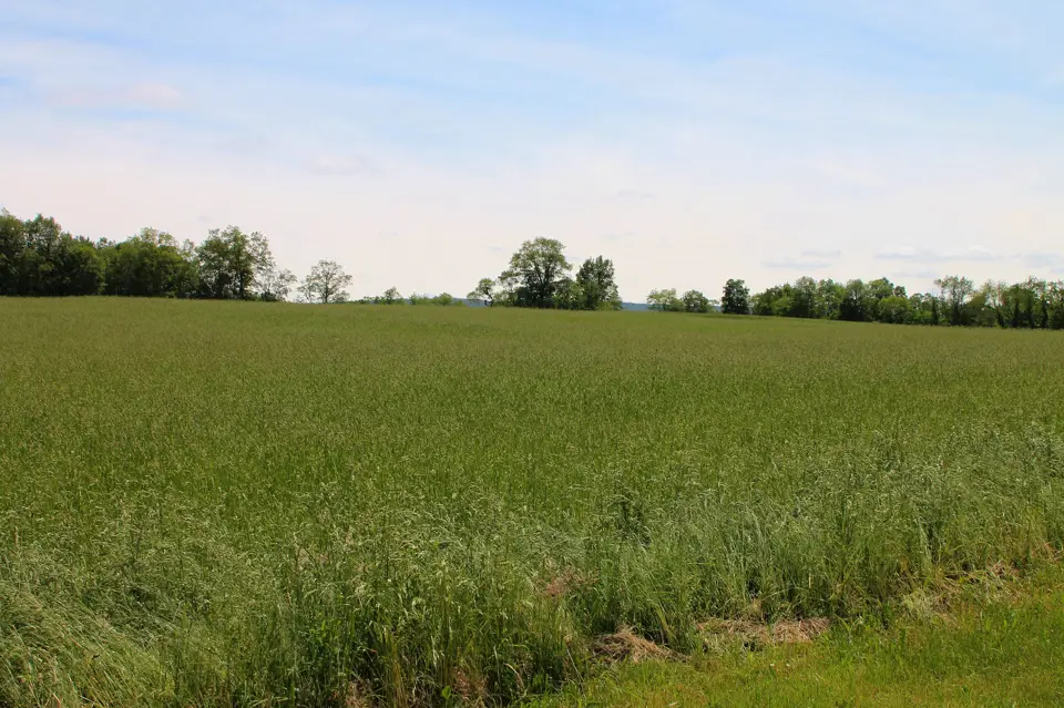 Luzerne County