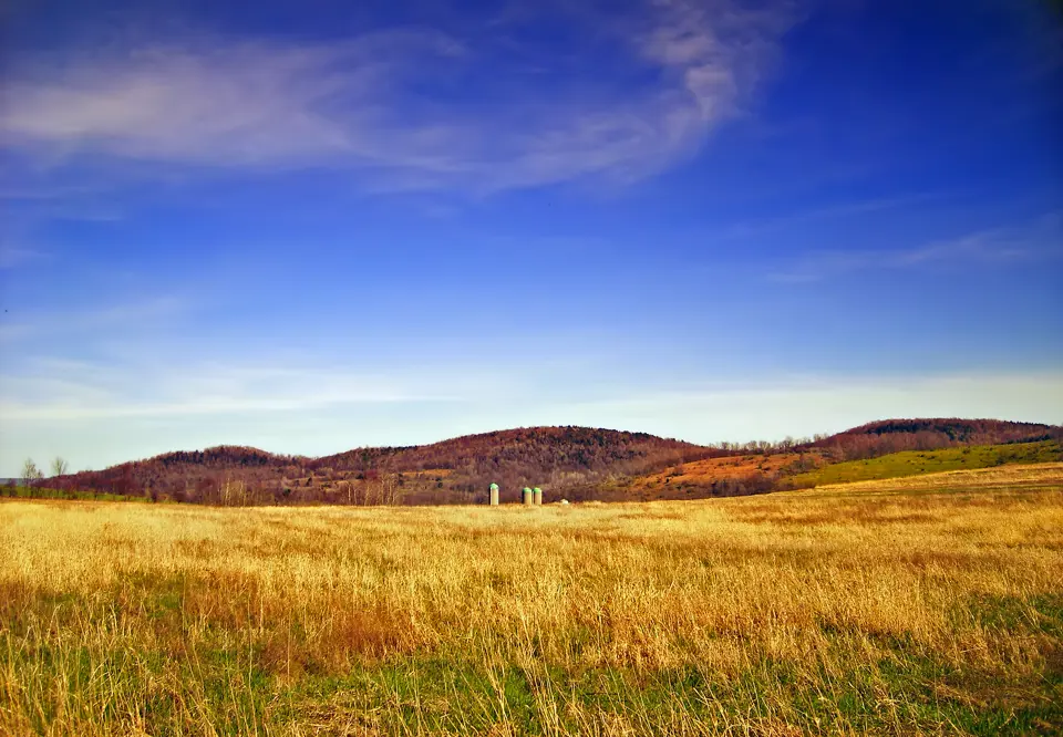 Tioga County