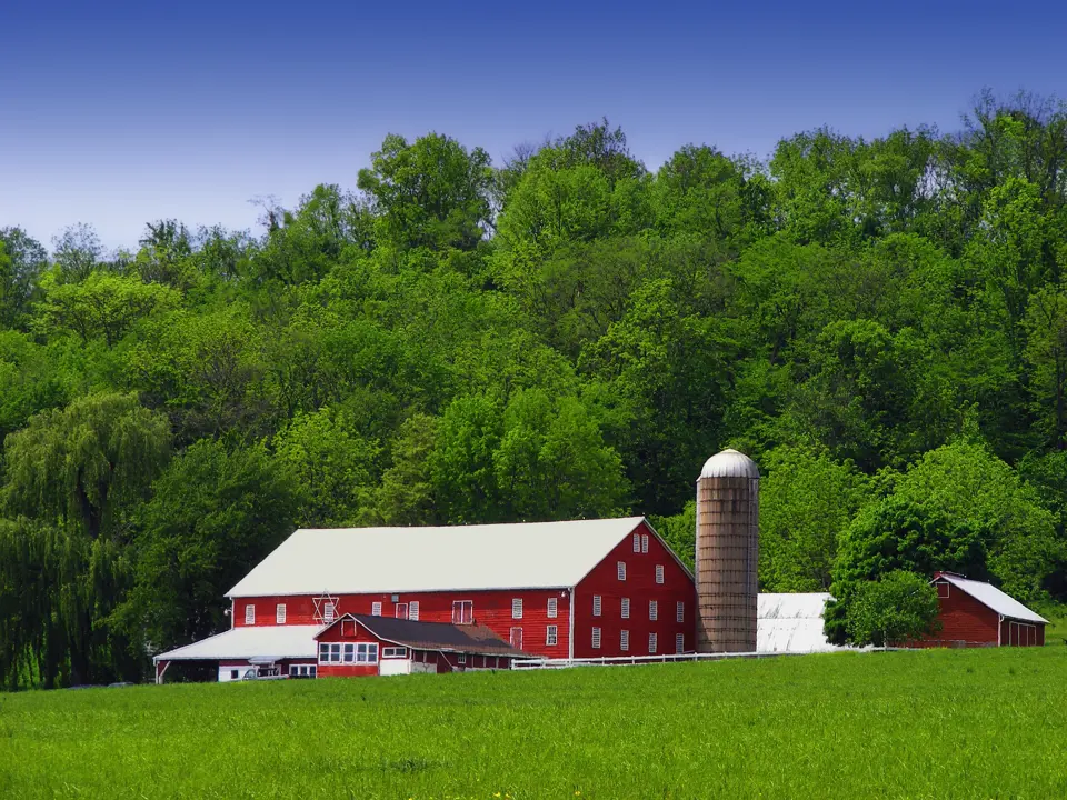Snyder County
