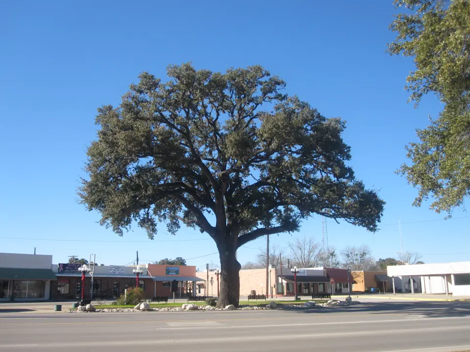 Atascosa County