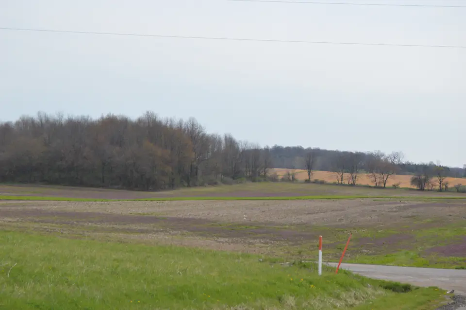 Richland County