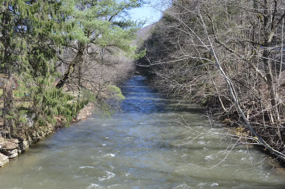 Potter County