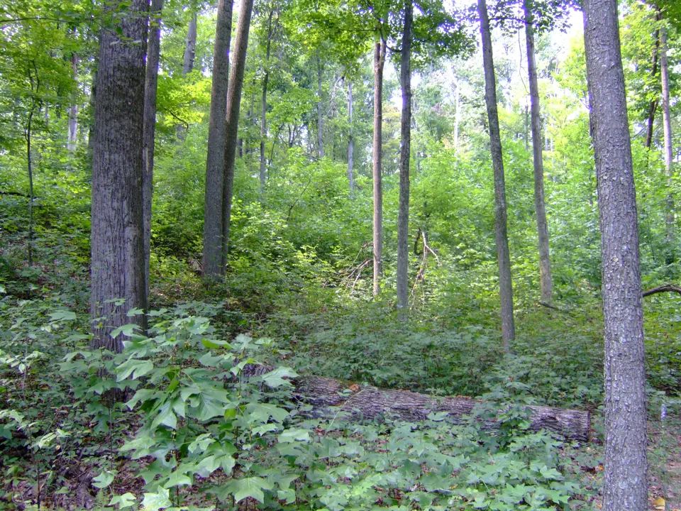 Scioto County