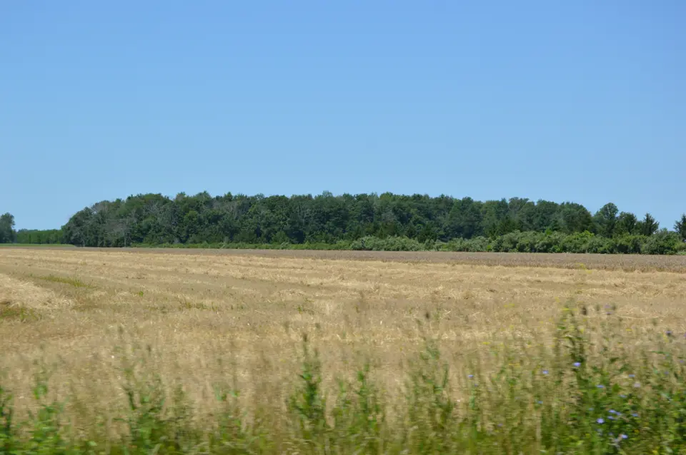 Henry County