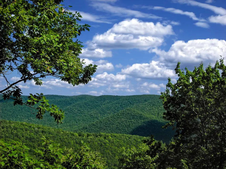 Cameron County