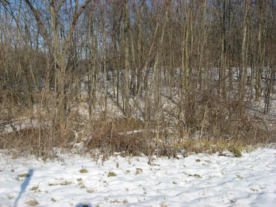 Defiance County