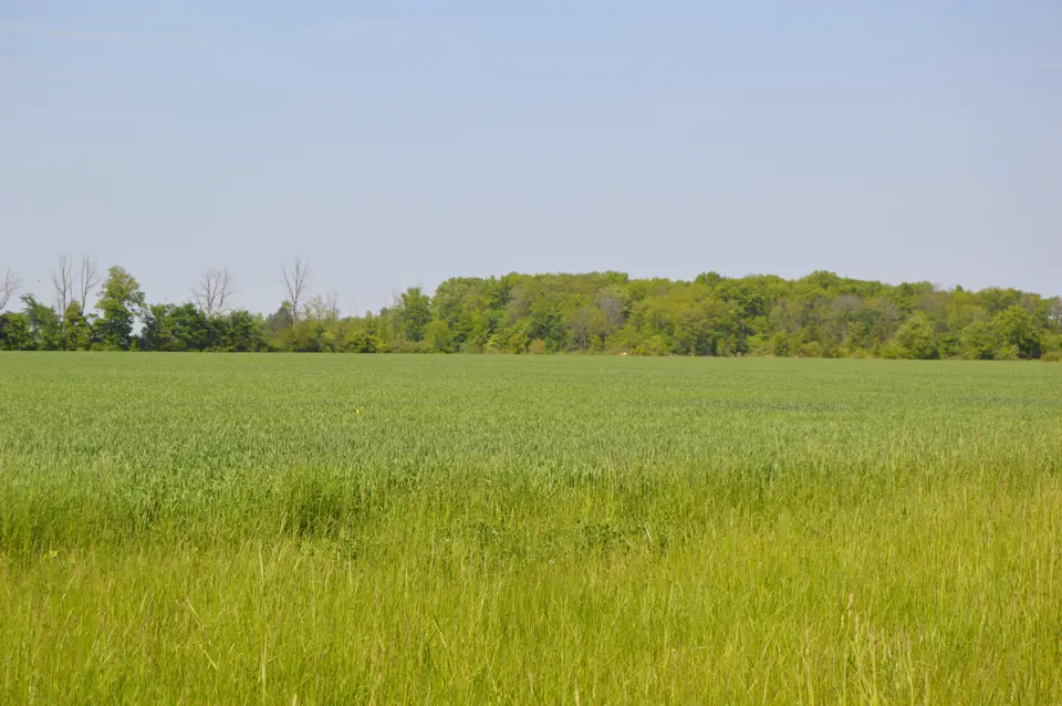 Ottawa County