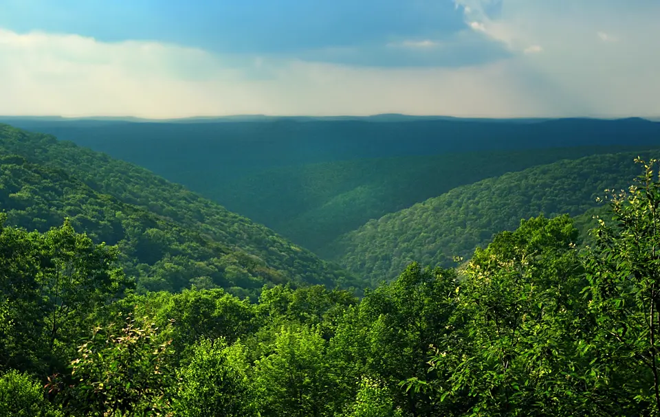 Cameron County