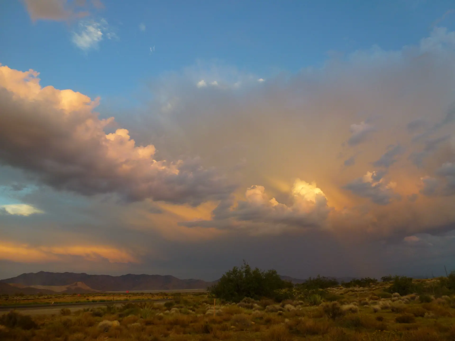 Kingman