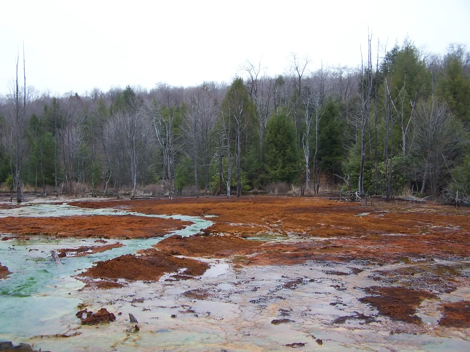 Portage