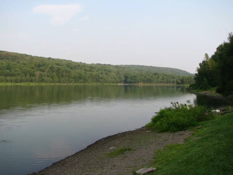 Wayne County