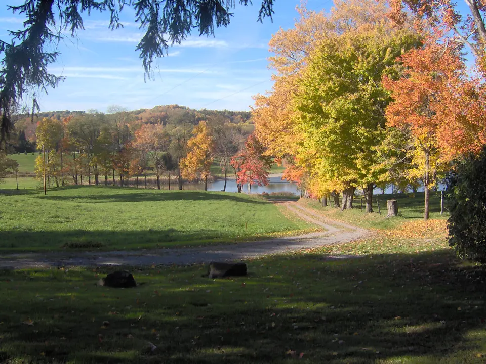 Beaver County