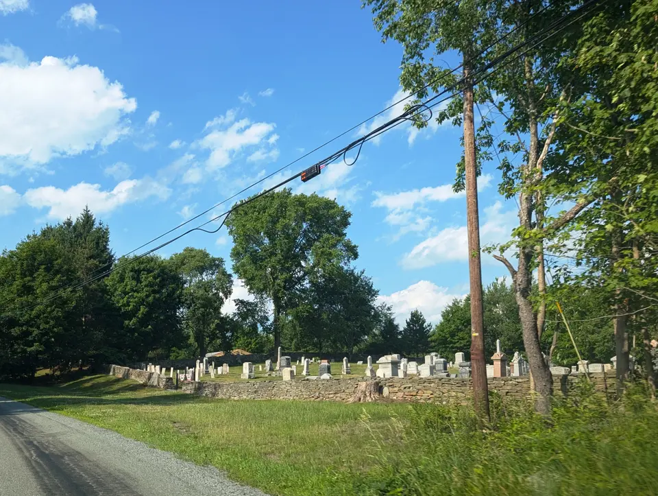 Wayne County