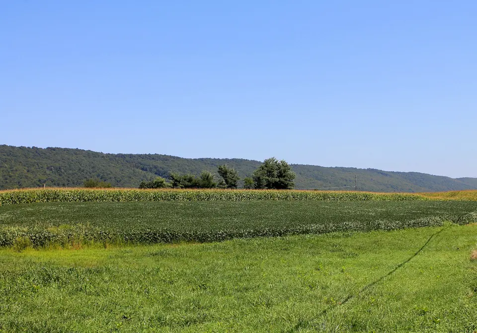 Northumberland County